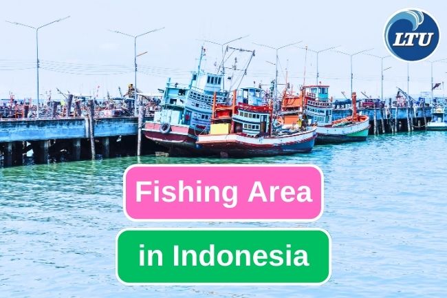 This Is How Indonesia Divide Their Fishing Area 